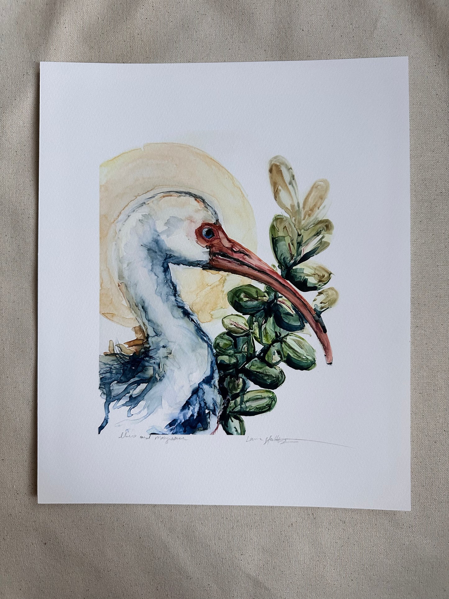 PRINT SALE! “Ibis and Mangrove” archival Giclee print
