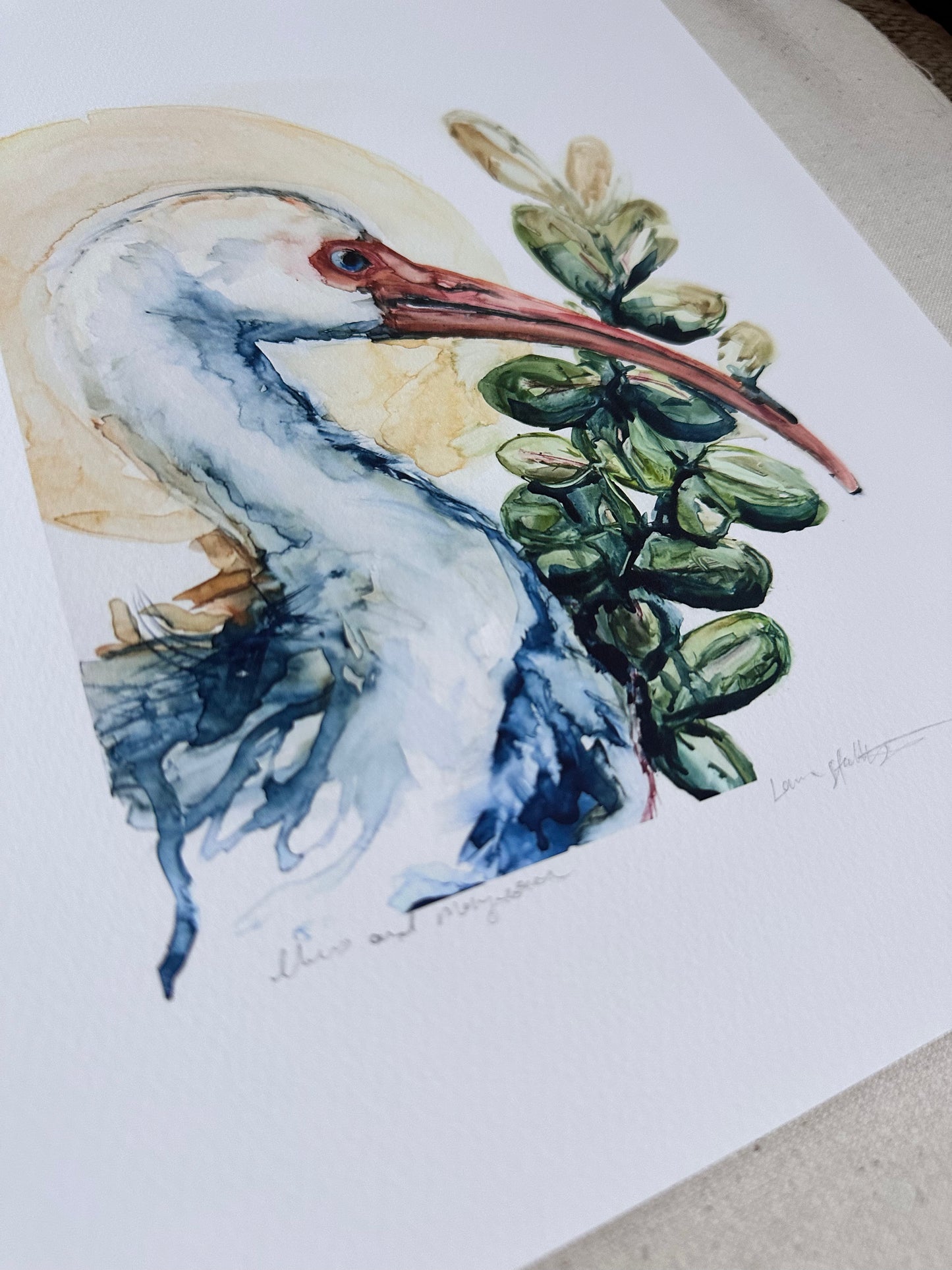 PRINT SALE! “Ibis and Mangrove” archival Giclee print