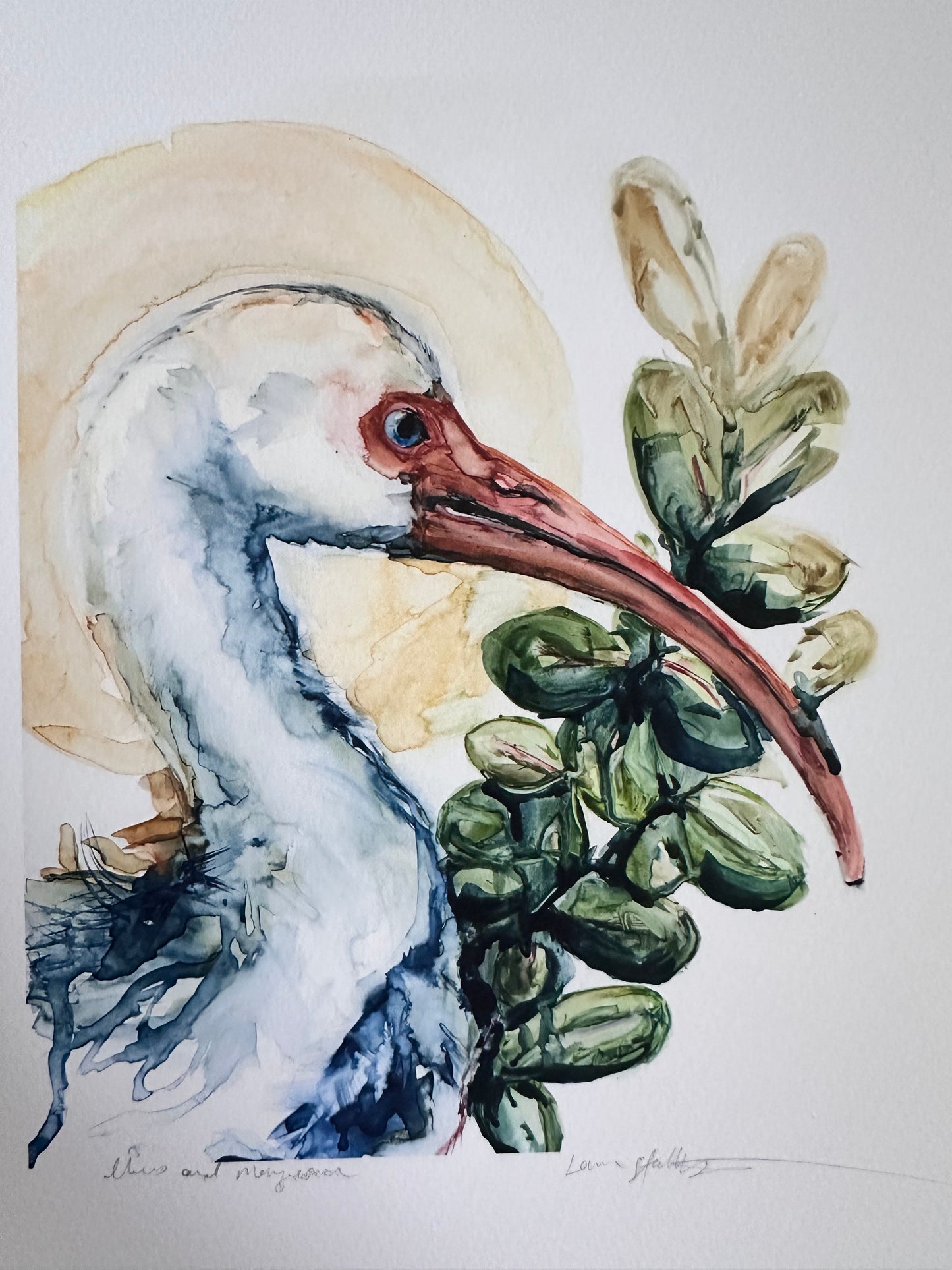 PRINT SALE! “Ibis and Mangrove” archival Giclee print