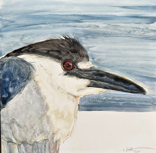 “Nightwatcher - Black Crowned Night Heron”