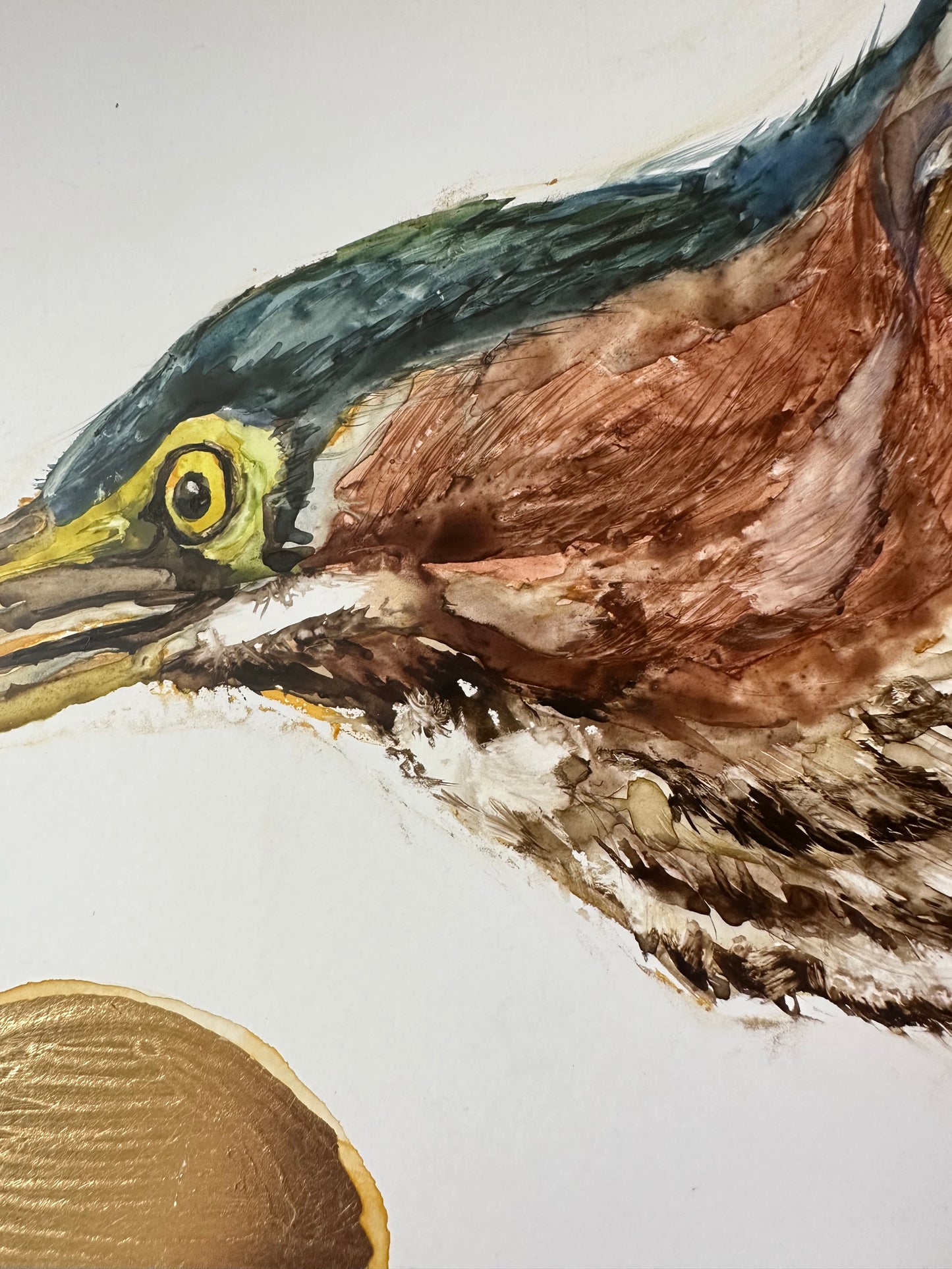 “Lightfoot - Green Heron”