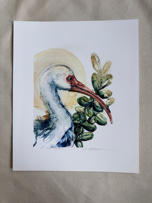 PRINT SALE! “Ibis and Mangrove” archival Giclee print