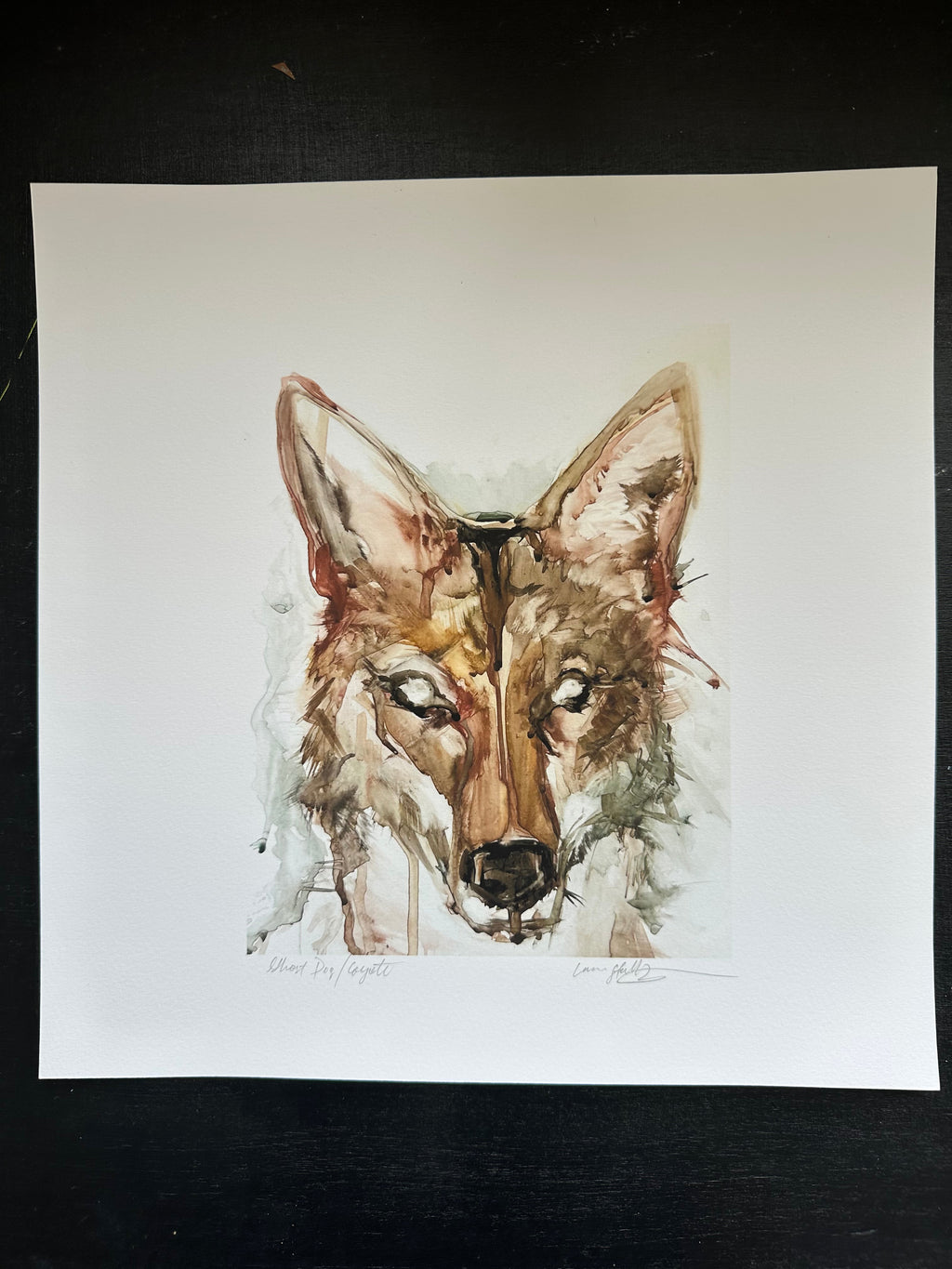 Archival Giclee Print - “Ghost Dog / Coyote”