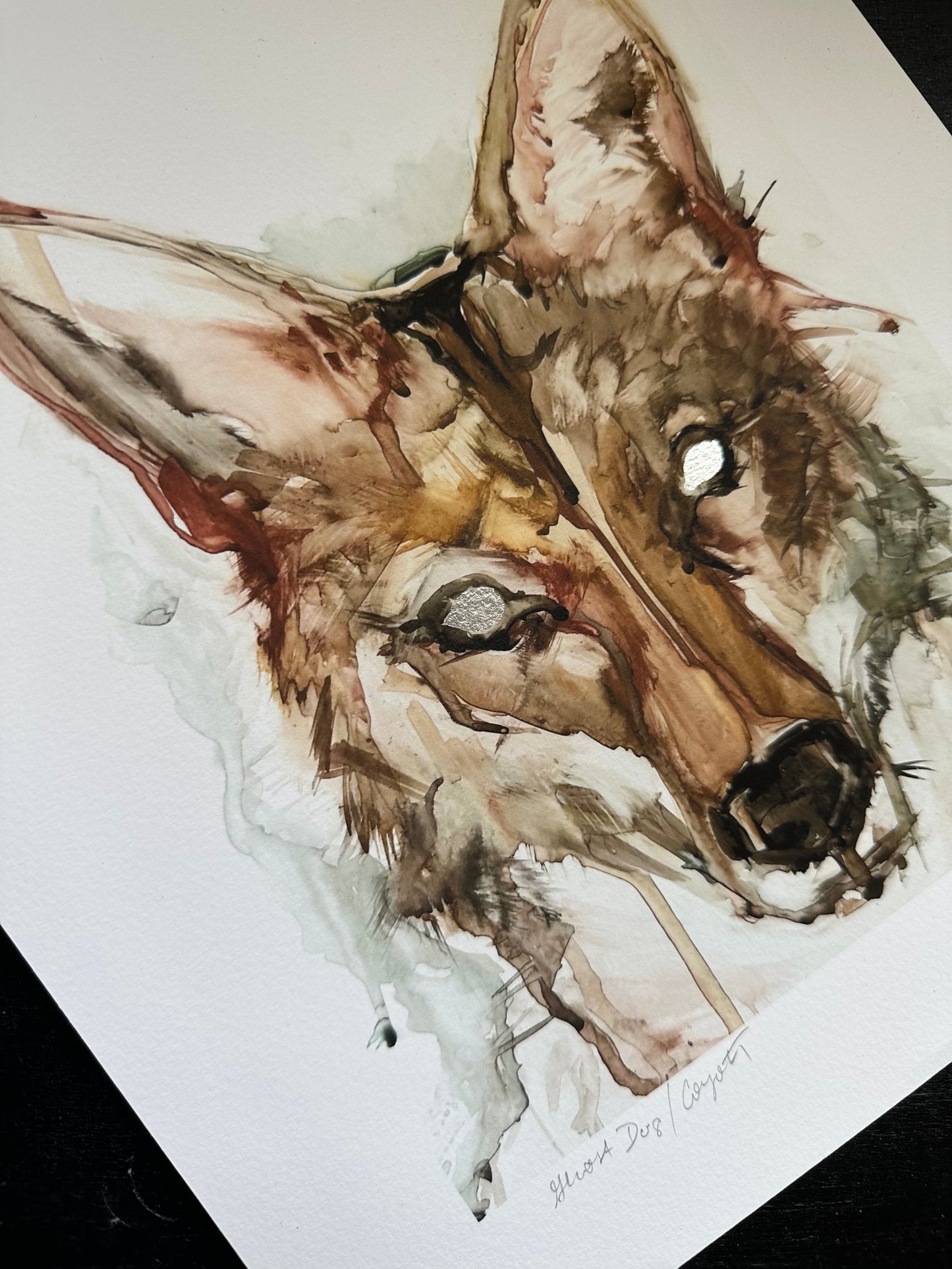 Archival Giclee Print - “Ghost Dog / Coyote”